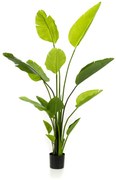 Strelitzia Nicolai Kunstplant - 150 cm