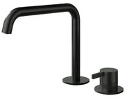 Hotbath Ace Wastafelmengkraan - opbouw - draaibare uitloop - 2gats - PVD - zwart geborsteld PVD AC023MBP