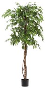 Kave Home Ficus Grote Ficus Kunstplant 180 Cm