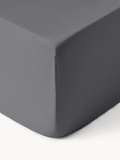 Divan hoeslaken Comfort, katoensatijn