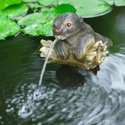 Ubbink Tuinfontein drijvend otter