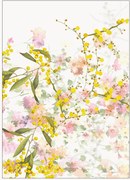 Katoenen theedoeken Mimosa's, 4-delig