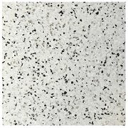 Terre d´Azur Granito terrazzo vloertegel parma 40x40 gerectificeerd