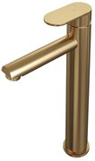 Brauer Gold - Edition Wastafelmengkraan opbouw - hoog - model C - PVD - geborsteld goud 5-GG-002-HD3