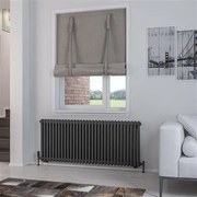 Eastbrook Rivassa 2 koloms radiator 145x60cm staal 2014W antraciet