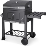 Famiflora Houtskool BBQ Illinois - BBQ grilloppervlak 55x41cm - Met thermometer