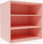 Module Mini 1004