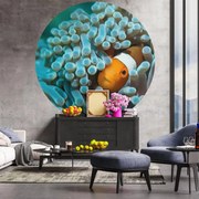 WallArt Behangcirkel Nemo the Anemonefish 190 cm