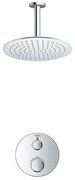 GROHE Grohtherm Regendoucheset Inbouw- - hoofddouche 25cm - 1 functie - plafondarm 20cm - chroom SW236914 SW105953 SW720552 SW377830