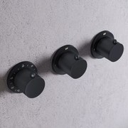 Saniclear Plus Curved thermostaatkraan afbouwdeel zwart mat