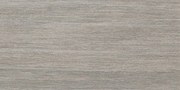 Vloertegel Casalgrande Padana Metalwood 60x30cm Argento