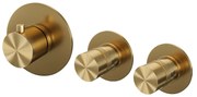 Brauer Gold Edition inbouwthermostaat met 2 stopkranen geborsteld messing PVD