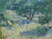 Kunstreproductie Olive Orchard, Vincent van Gogh