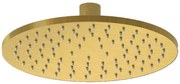 Plieger Roma hoofddouche 20cm messing geborsteld