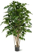 Ficus Benjamina Exotica kunstplant - 120 cm