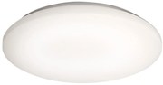 Sapho Orbis ronde plafondlamp 30cm 15.5W