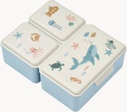 Kinderlunchbox Driss