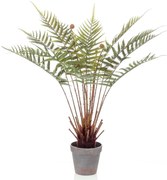 Emerald Kunst varen dicksonia 60 cm