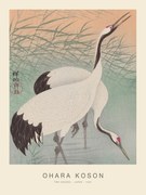 Kunstreproductie Two Cranes (Special Edition) - Ohara Koson