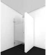 Van Rijn Products ST01 Nisdeur - 80x200cm - helder Clearglas - dikte 8mm - met Geprinte baan - 100cm - chroom ST0110080GS