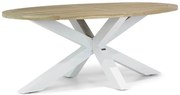 Dining Tuintafel ovaal 200 cm x 110 cm Wit Bradford