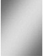 Xellanz Spiegel zonder lijst rechthoek 50 x 40 x 0.5 cm 31.4257