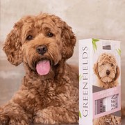 Greenfields Hondenverzorgingsset labradoodle shampoo en spray 2x250 ml