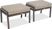 Tuinkrukjes Vigo Garden Point bruin - 2 stuks
