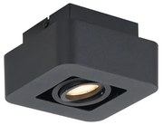 Afgeronde opbouwspot zwart draai- en kantelbaar - Dox