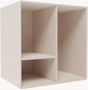 Module Mini 1002