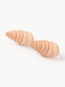 Handbeschilderde zout- & peperstrooier Shell van dolomiet, 2-delig