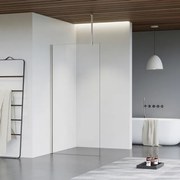 Fortifura Galeria inloopdouche - 50x200cm - helder glas - plafondarm - Geborsteld RVS PVD (RVS) SW797919/SW797908/SW804544