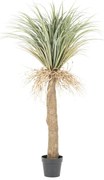 By-Boo Wild Yucca Realistische Kunstplant Yucca Small