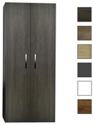 Sanicare kolomkast 67x160x32cm belluno