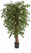 Ficus Hawaiian Liana kunstplant - 150 cm