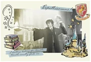 Kunstafdruk Harry Potter - Expelliarmus