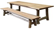 Pearl dining tuinset 300x100xH77,5 teak 2 delig