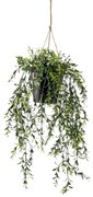 Emerald Kunstplant hangend in pot buxus 50 cm