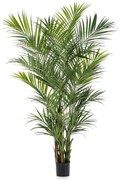 Kentia kunst palm - 260 cm