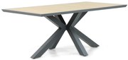 Dining Tuintafel rechthoekig 181 x 100 cm Aluminium/HPL/Aluminium/HPL Grijs Palermo