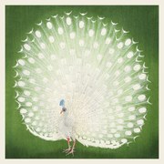 Kunstreproductie The White Peacock, Ohara Koson