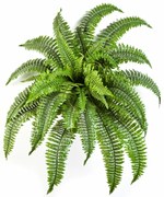 Kunst varen Nephrolepis Boston - 75 cm