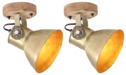 vidaXL Wand-/plafondlampen industrieel 2 st E27 20x25 cm messingkleur