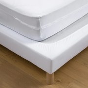 Volledige matrashoes in jersey anti-huisstofmijt H22 cm