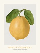 Kunstreproductie Lemon (Watercolour Kitchen Fruit)