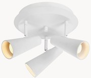 Plafondspot Crest van metaal