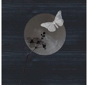 Goossens Schilderij After Midnight, 74 x 74 cm
