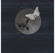 Goossens Schilderij After Midnight, 74 x 74 cm