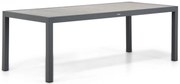 Dining Tuintafel rechthoekig 220 x 94 cm Grijs Residence