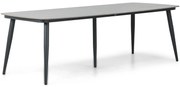 Dining Tuintafel rechthoekig 240 x 100 cm Aluminium Grijs Vienna